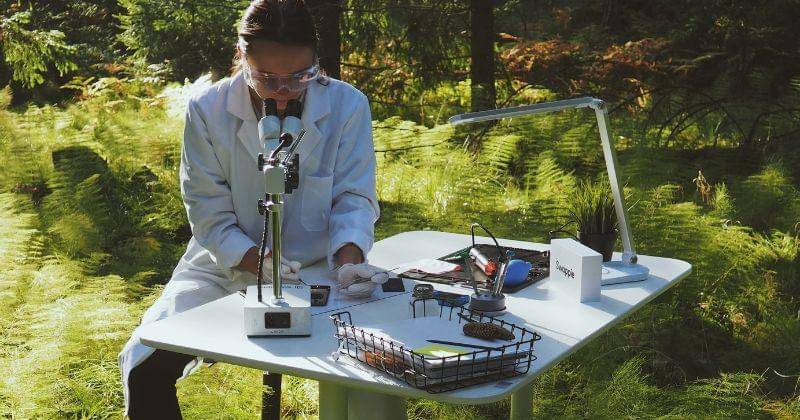 Pexels/AlesiaGritsuk